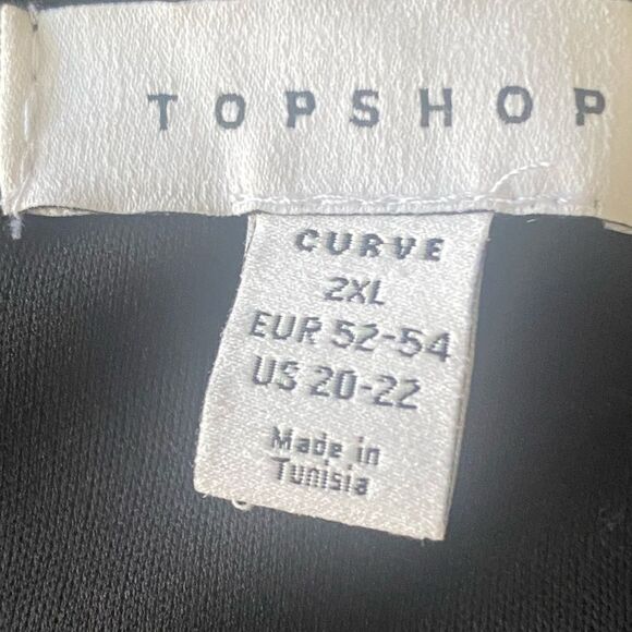 TopShop Lettuce Edge Mesh Mini Tea Dress in Pink Rose. Size 2XL. - Picture 10 of 12